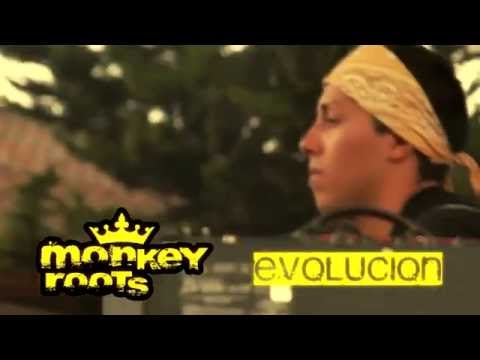 monkey roots - evolución