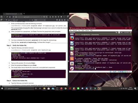 Tugas Akhir Administrasi Sistem || 4.3.2.3 Lab - Using Steganography
