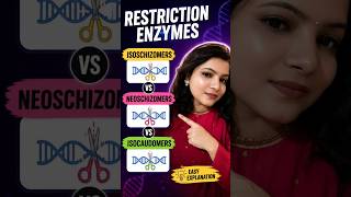 Isoschizomers vs Neoschizomers vs Isocaudomers 😊 #geneticengineering #restrictionenzymes #biology