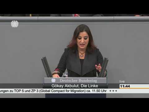 Akbulut Gökay Die Linke | Die AfD hat nichts zu sagen... 08.11.2018