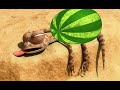ᴴᴰ The Best Oscar Oasis Episodes 2018 ♥♥ Animation Movies For Kids ♥ Part 13 ♥✓