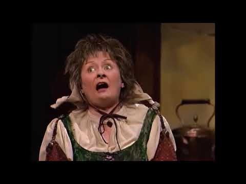 Into The Woods 1991 Broadway Pro-Shot