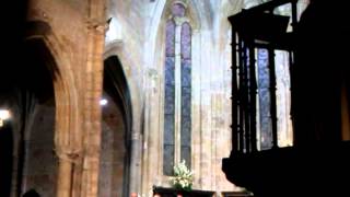 La plegaria de los tres Amores. Coral Salvé de Laredo