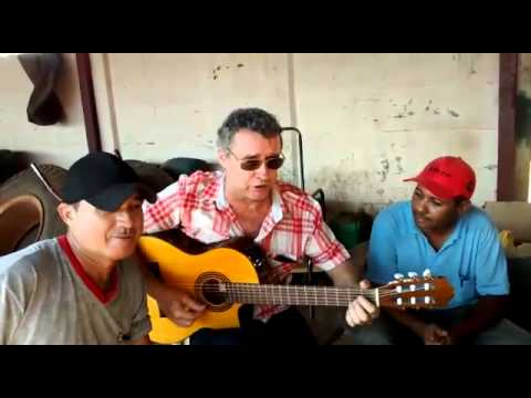 Favo De Mel video