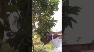 Download lagu mau ketawa takut dosa video lucu bikin ngakak hiburan warga 62 funny videos mp3