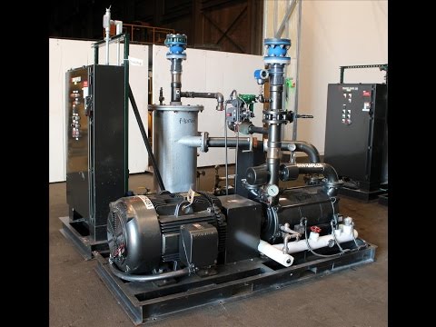 Used- Travaini Vacuum System, Model TRW1000H-FR - stock # 46372001