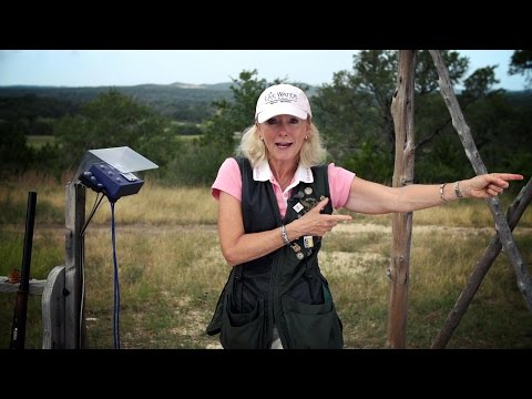 Tips & Tactics | "Jane Brown Keller: Shotgun Stance and Movement"