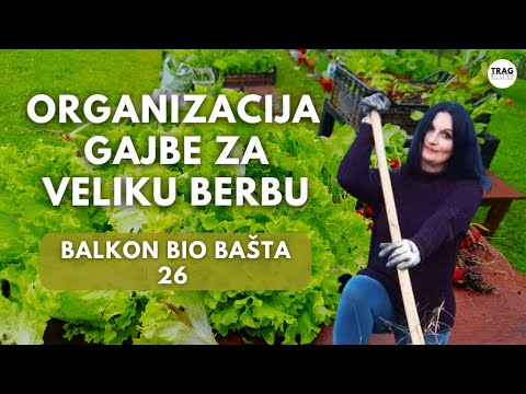 ORGANIZATION OF THE CRATE FOR THE GREAT HARVEST