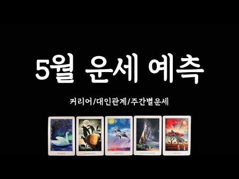 [타로/종합운세] 5월의 운세🍀 커리어/대인관계/사랑