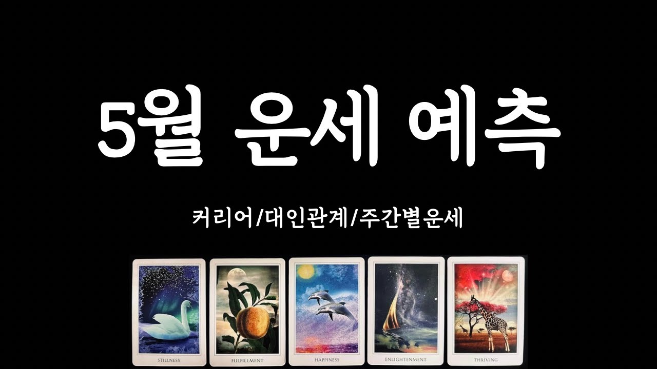 [타로/종합운세] 5월의 운세🍀 커리어/대인관계/사랑