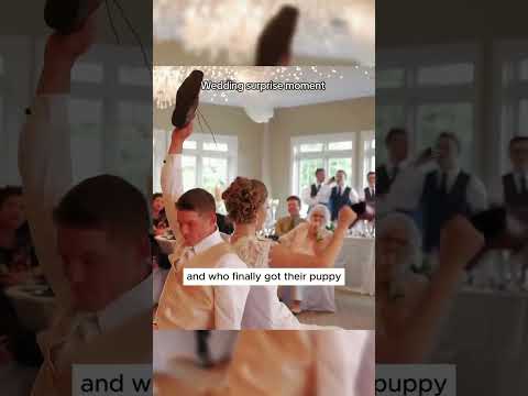 The best wedding surprise moment #wedding