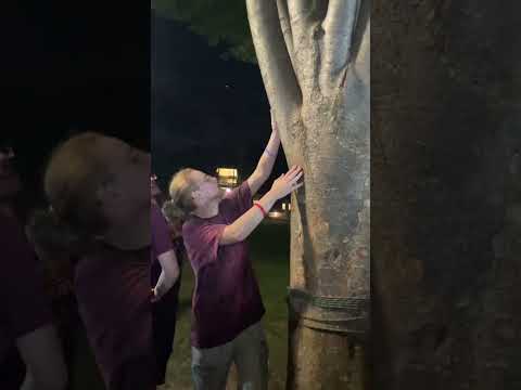 SURVIVOR Bloomsburg Season 3 Episode 2 Immunity Challenge 1