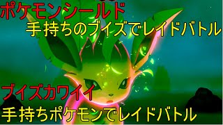 ポケモンシールド#2 手持ちのブイズでレイドバトル