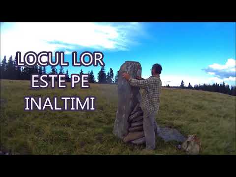 MONUMENTUL CIOBANILOR ( Ctitorie:  Mihai Moldovan )
