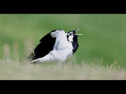 Matt Kemp Photography and Training video.