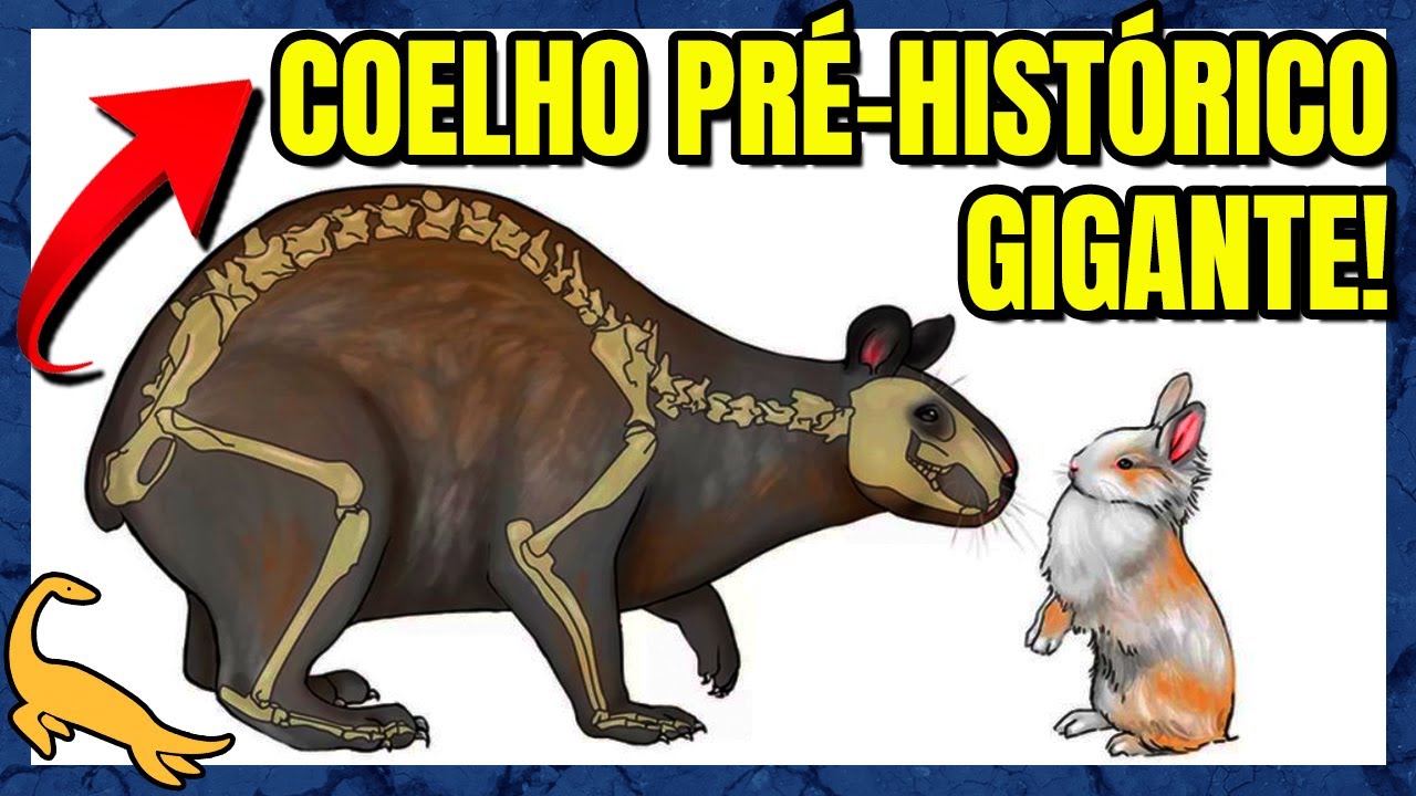 ORIGEM e EVOLUÇÃO dos COELHOS (Lagomorfos)