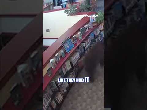 WATCH: Bear BREAKS INTO library