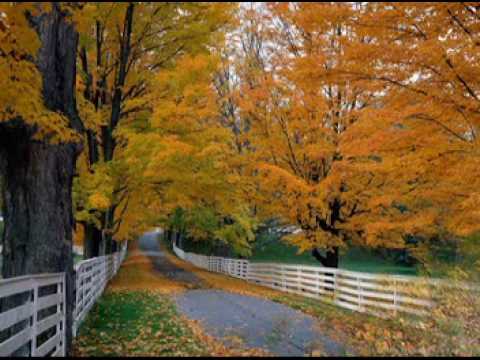 Yansımalar - Sonbahar