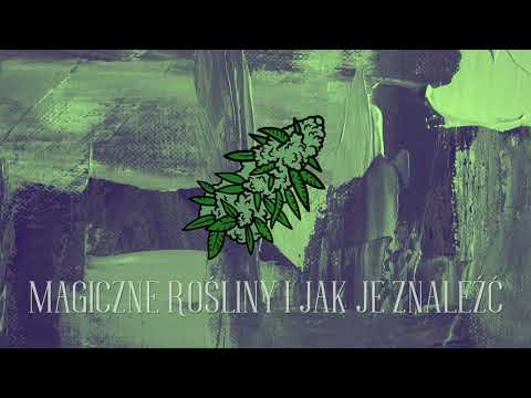 FRESZSZ x Drosey - Magiczne rośliny i jak je znaleźć (feat. Różany Jakub, Flores)
