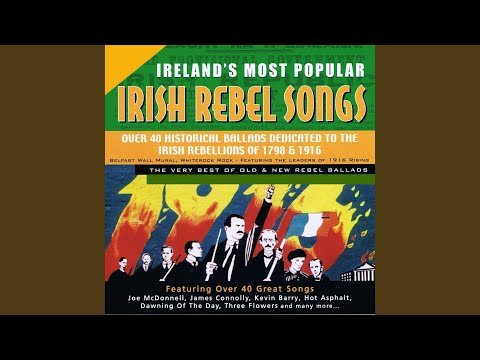 Follow Me up to Carlow