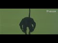 Killer From Above 1977 Widescreen Remaster