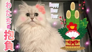 愛猫に今年の抱負を聞いてみました Happy New Year 2024