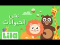 We Are The Animals Lila TV