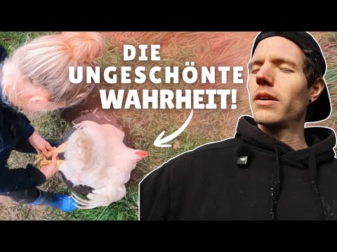 Kreislaufkollaps beim Hähne schlachten! (dafür ist der Vorrat voll)