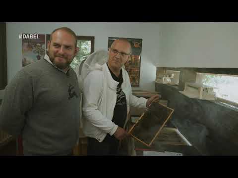 Einblicke in die Imkerei