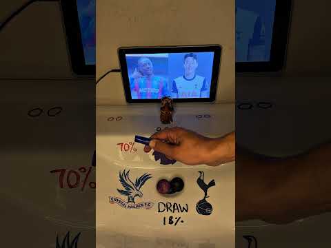 Tottenham vs Crystal Palace | Son vs Eze - Premier League Battle! ⚽🔥 #Shorts