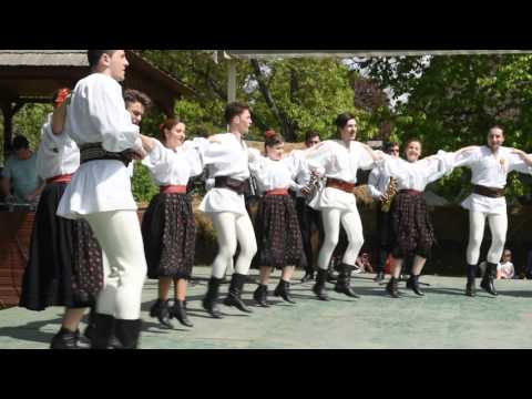 Ans. Doinita - Timis; Ans. Junii Brasovului - Mocanesc