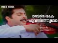 Thumbi Nin Moham Neelagiri Mammootty Madhubala KS Chithra Maragatha Mani