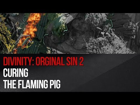 Divinity: Original Sin 2 - Curing the Flaming Pig
