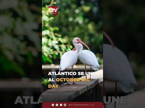 Atlántico Se Une Al October Big Day