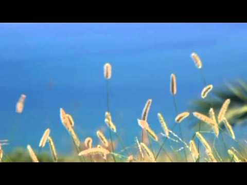 AutoTest: 20110829-1337-High Quality (640x480)