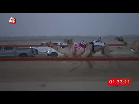  ش 2 (مستحيل) لـ احمد مطر بن محمد الرميثي 2:55 ، شارة الشيخ طحنون 2026/8/15 فطامين السمحه