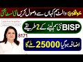 NEW WALLET SIM 25000 Benazir Digital Wallet 8171 Portal Update Ehsaas Program 13500 Check