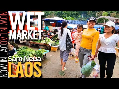 WET Markets in Northern Laos | Now in Lao 2020