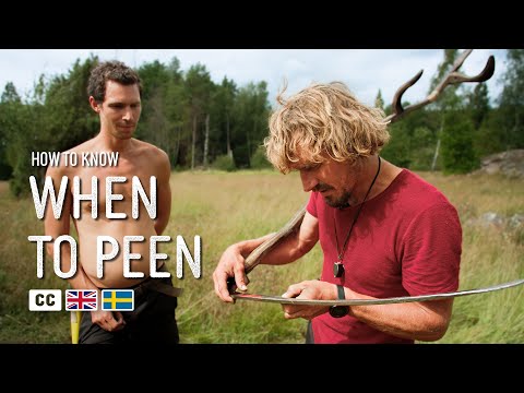 When to Peen Your Scythe Blade | Professional Scything Team with Examples!