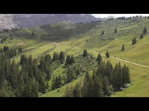 Red River Rock (1959) - Johnny & The Hurricanes - Yamaha Genos