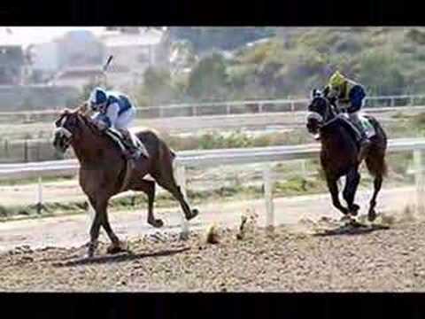 En memoria de aquellos que nos dejaron II, por D. Millennium