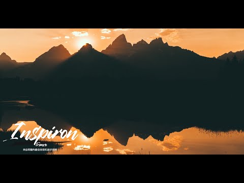 Mike Tohr - The Last Zebra