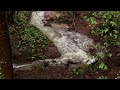 Con Fluences After The Rain By YTRM
