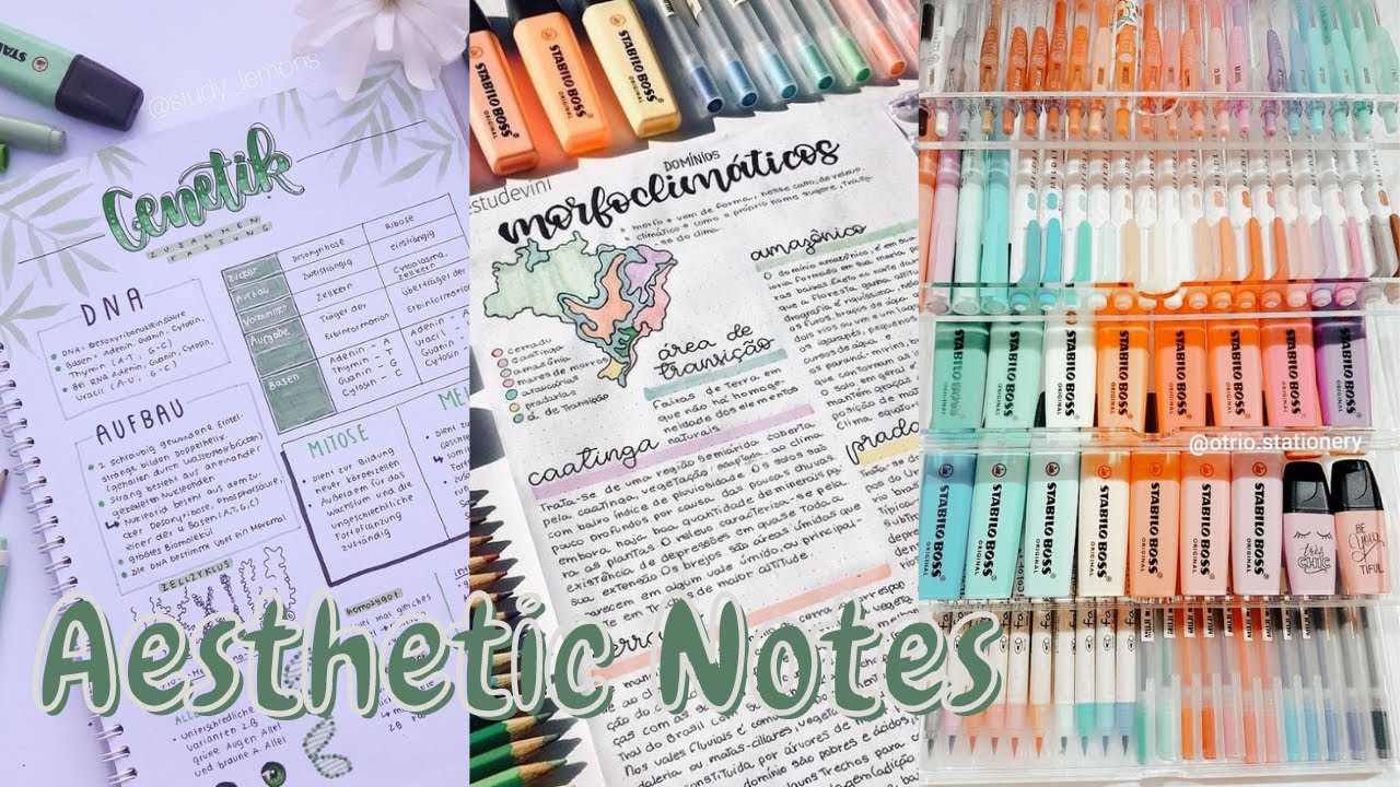 Aesthetic Notes | Tik Tok Compilation!✨