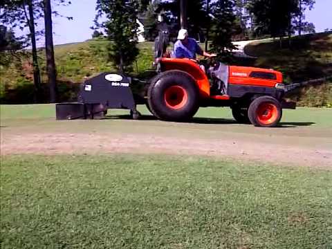 DSA Pine Needles Demo #3