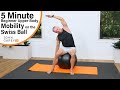 5 Minute Mat Workout - Beginner Upper Body Mobility on the Swiss Ball