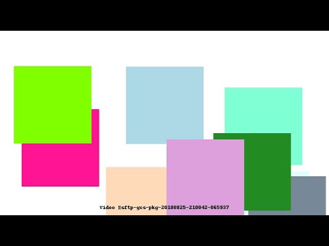 Video #sftp-gcs-pkg-20180825-210042-065937