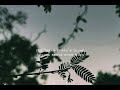KOI FARIYAAD Jagjit Singh Status World