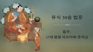 동계법문《유 식 삼 십 송》17대 법왕 까르마빠 존자님 제 2일