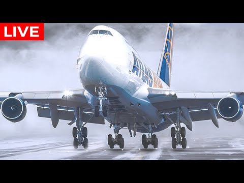 🔴LIVE WINTER ARCTIC COLD BLAST at CHICAGO O'HARE AIRPORT | AVGEEK ORD PLANE SPOTTING |WINTER WEATHER